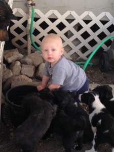 The 6th Generation at the Grieb Ranch enjoying the puppies!