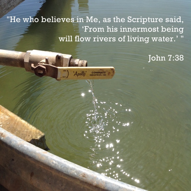 Water pic with scripture